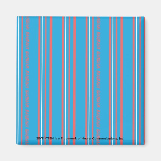 Thin Stripes Aqua Magnet (Vorne)