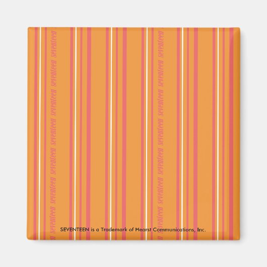 Thin Stripes Orange Magnet (Vorne)