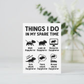 Things I Do In My Spare Time Capybara Funny Pet Postkarte (Stehend Vorderseite)