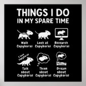 Things I Do In My Spare Time Capybara Funny Poster (Vorne)