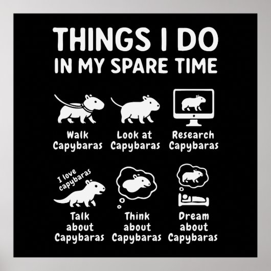 Things I Do In My Spare Time Capybara Funny Poster (Vorne)