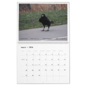 Things with Wings: A Wildlife Photography Calendar Kalender (Mär 2026)