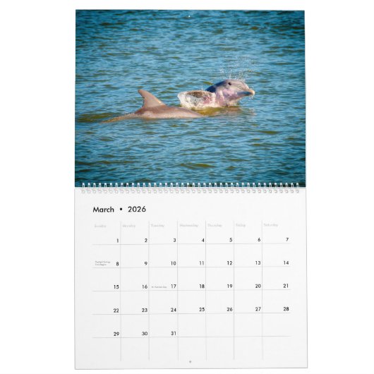Things You See on Hilton Head Island Kalender (Mär 2026)
