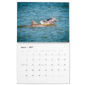 Things You See on Hilton Head Island Kalender (Mär 2027)