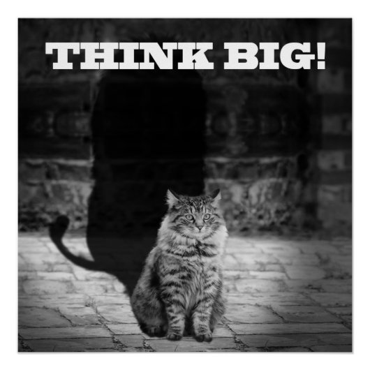 "Think Big" Cat Shadow Poster 20" x 20" (Vorderseite)