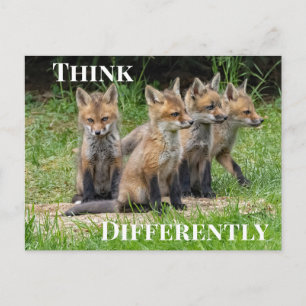 Think Differently Fox Postkarte