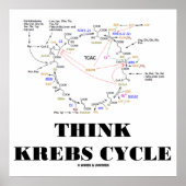 Think Krebs Cycle (Citric Acid Cycle - TCAC) Poster (Vorne)