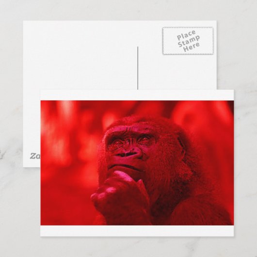 Thinking Gorilla Postkarte (Vorne/Hinten)