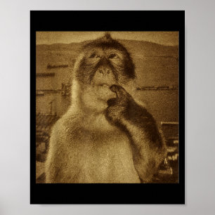 Thinking Monkey Meme Vintage Retro Poster