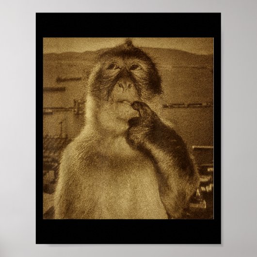 Thinking Monkey Meme Vintage Retro Poster (Vorne)