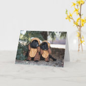 Thinking of you bears karte (Gelbe Blume)