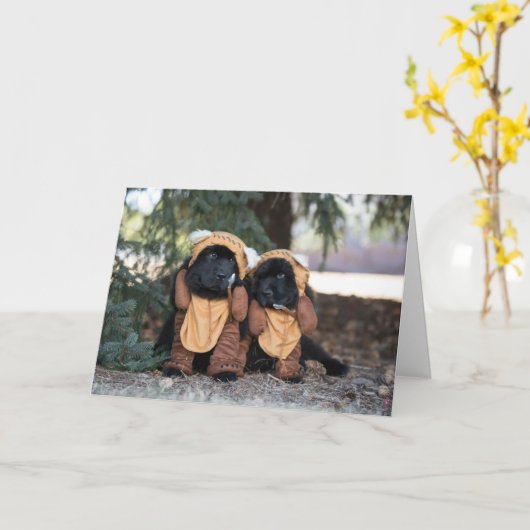 Thinking of you bears karte (Gelbe Blume)