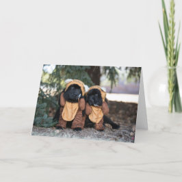 Thinking of you bears karte