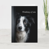Thinking of You Border Collie Karte (Vorderseite)