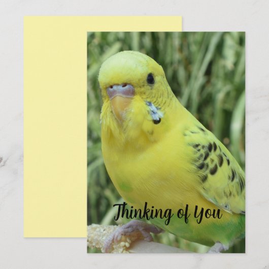 Thinking of You card Einladung (Vorne/Hinten)
