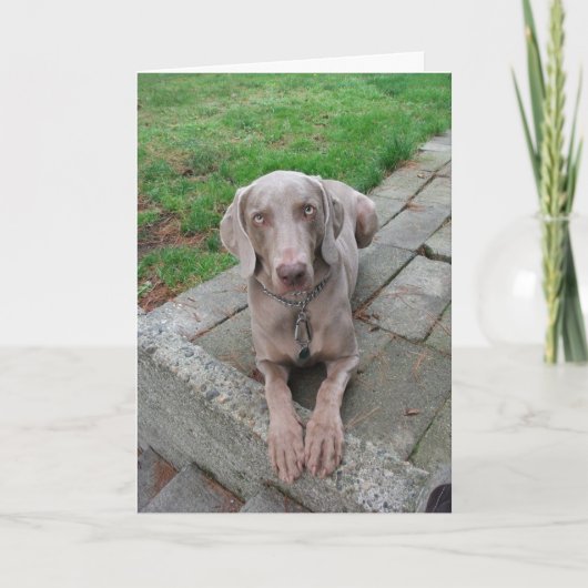 Thinking of you card karte (Vorderseite)