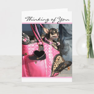 Thinking of you Chihuahua Dog greeting card Karte