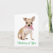 Thinking of You Chihuahua Puppy Dog Greeting Card Karte (Vorderseite)