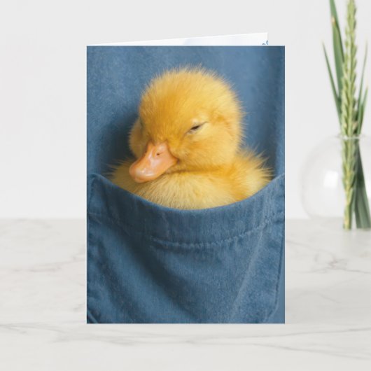 Thinking of You Duckling In a Blue T-shirt Pocket Karte (Vorderseite)