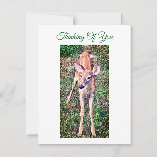 Thinking Of You Flat Note Card With Fawn Mitteilungskarte (Vorderseite)