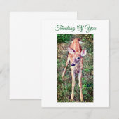 Thinking Of You Flat Note Card With Fawn Mitteilungskarte (Vorne/Hinten)