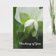 "Thinking of You"-Karten-Vorlage zum Anpassen