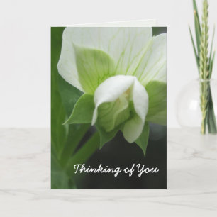 "Thinking of You"-Karten-Vorlage zum Anpassen Karte