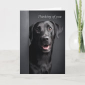 Thinking of You Labrador Retriever Karte (Vorderseite)