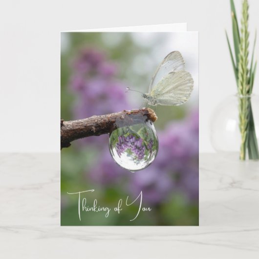 Thinking of You Lilacs Reflecting in a Raindrop Karte (Vorderseite)