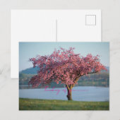 thinking of you nature  postkarte (Vorne/Hinten)