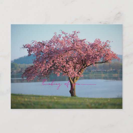 thinking of you nature  postkarte (Vorderseite)