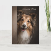 Thinking of You Shetland Sheepdog Karte (Vorderseite)