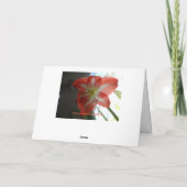Thinking of You, Stargazer Amaryllis Karte (Rückseite)