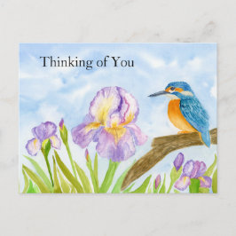 Thinking of You Watercolor Kingfisher Purple Iris Postkarte