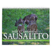 THINKSausalito 2012 Kalender (Titelbild)