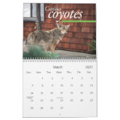 THINKSausalito 2012 Kalender (Mär 2027)