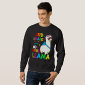 Third Team 3rd Grade Teacher Rainbow No Prob Llama Sweatshirt (Vorne ganz)