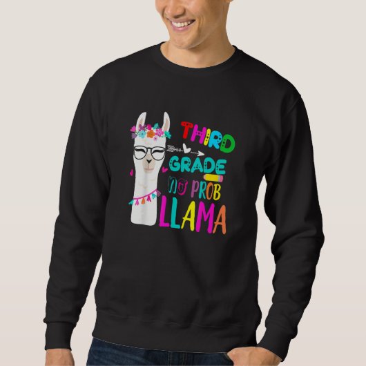 Third Team 3rd Grade Teacher Rainbow No Prob Llama Sweatshirt (Vorderseite)