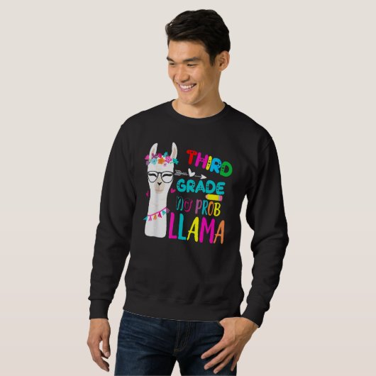 Third Team 3rd Grade Teacher Rainbow No Prob Llama Sweatshirt (Vorne ganz)