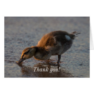 Thirsty Baby Danke-Card