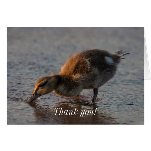 Thirsty Baby Danke-Card (Vorderseite (Horizontal))
