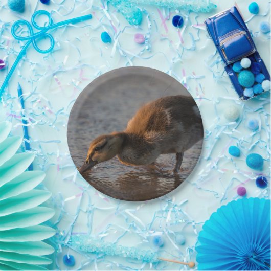 Thirsty Baby Pappteller (Party)