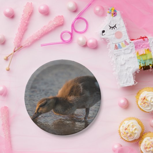 Thirsty Baby Pappteller (Party)