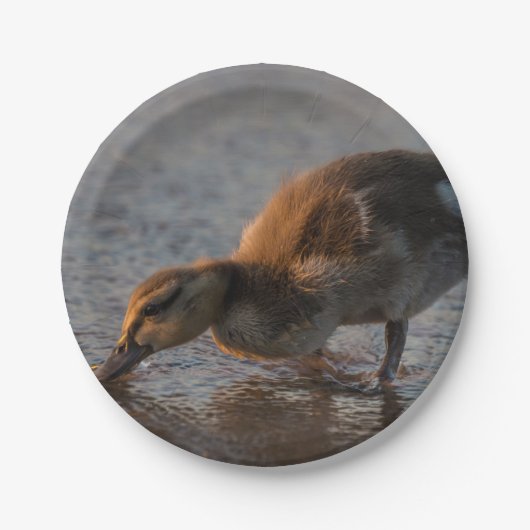 Thirsty Baby Pappteller (Vorderseite)