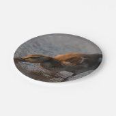 Thirsty Baby Pappteller (Schrägansicht)