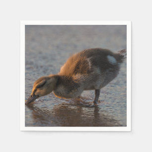 Thirsty Baby Serviette