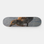 Thirsty Baby Skateboard (Horizontal)