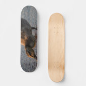 Thirsty Baby Skateboard (Vorderseite)