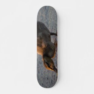 Thirsty Baby Skateboard