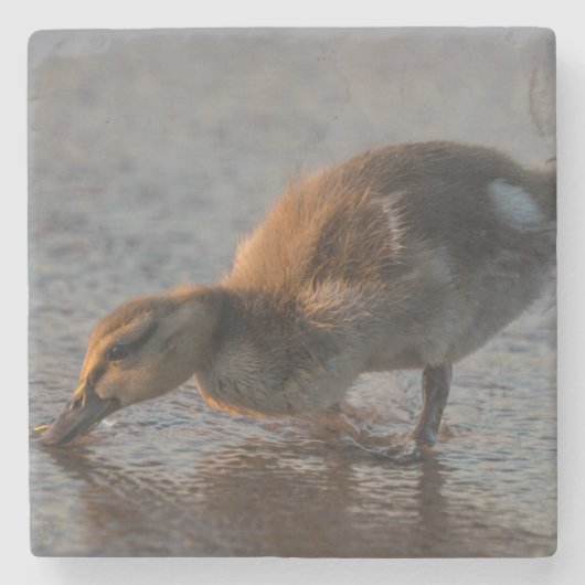 Thirsty Baby Steinuntersetzer (Vorderseite)